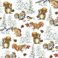 Welcome Winter- Squirrels and Birds- Multi
